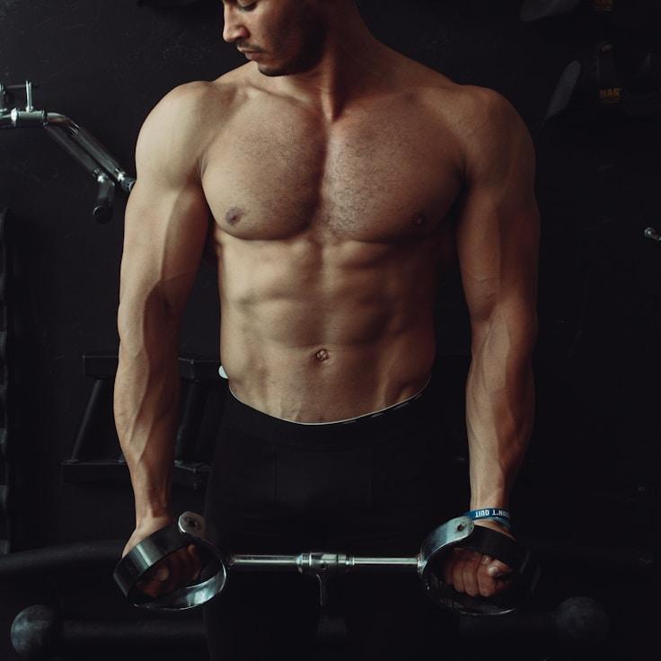 Modern gym equipment in a refined fitness space